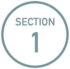 section1